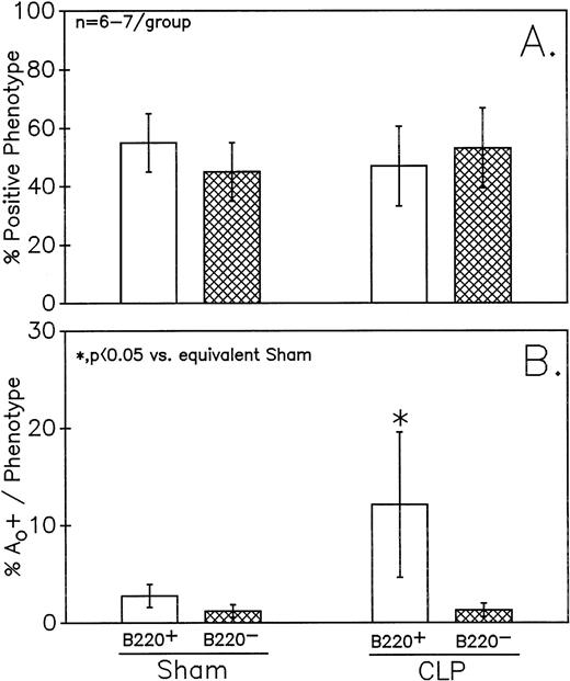 Fig. 5. Phenotypic assessment of the percentage Ao+ cells from C3H/HeN mice indicates that marked augmentation of Ao is present in the Peyer's patch cells is confined primarily to B220+ (B lymphocytes) subpopulation but not the B220- (B). This occurred despite the lack of significant change in the frequency of B220+ cells (A). Significance indicated by * at P < .05 versus sham, Mann-Whitney U test; mean ± SEM, n = 6 to 7 mice sampled /group. Although not shown, Peyer's patch cells stained with antibody to CD4 (Thelper-cell) showed no change in the percentage Ao+ cells.