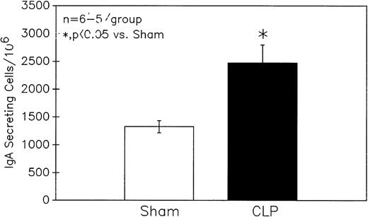 Fig. 6. Sepsis (CLP) induces a significant increase in the number of Peyer's patch cells from C3H/HeN mice secreting IgA as determined by ELISpot. Significance indicated by * at P < .05 versus Sham, Mann-Whitney U test; Mean ± SEM; n = 5 to 6 mice sampled /group.