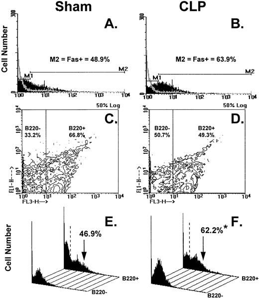 Fig. 8. (A through F) shows the results of typical two-color flow cytometric analysis of a cell suspension obtained from C3H/HeN mice Peyer's Patches 24 hours after sham-CLP (sham)(A, C, E, G) or CLP (B, D, F, H; simultaneously stained and analyzed). (A and B) are histograms of cell number versus FITC-fluorescent intensity generated from the ungated populations stain either antibody to Fas antigen (solid black histogram) or isotypic antibody control (light gray overlayed histogram)(summary data for repeated experiments is provided in Fig 9A and B). The nonspecific/negatively (M1) stained cells were delineated from the Fas-antigen positively (M2) stained cells by the use of isotypic antibody controls. Similarly, B220+ cells were discriminated from B220- cells by using isotypic Cychrome antibody control. The percentage of cells expressing a given phenotype are given (C and D). Histograms (E and F) of cell number v Fas antigen fluorescent intensity produced from each of the B220 phenotypically defined populations, respectively, illustrate the typical changes observed in the frequency of Fas antigen positive cells encountered after CLP in the Peyer's patch cells (summary data for repeated experiments is provided in Fig 10).