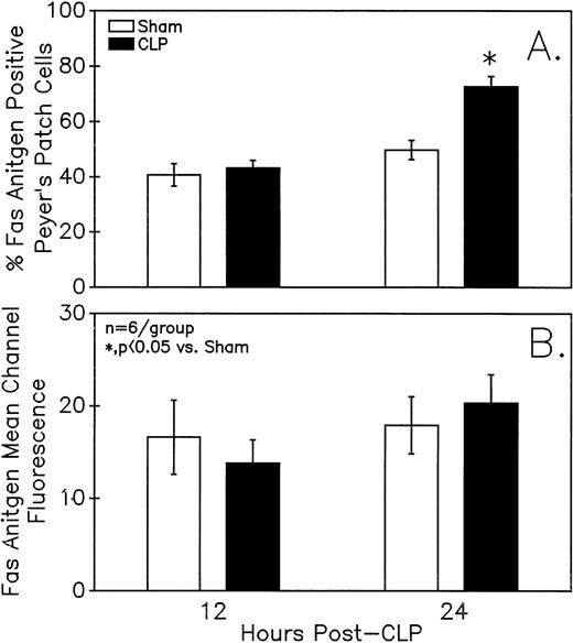 Fig. 9. Assessment of the Fas antigen expression in mixed Peyer's Patch cells from C3H/HeN mice illustrates that both the percentage of cells that are Fas+ (A) as well as the Fas antigen expression per cell (as shown by increased mean channel fluorescence) (B) is increased at 24 hours after the onset of sepsis. Signficance indicated by * at P< .05 versus sham, Mann-Whitney U test; Mean ± SEM; n = 6 mice sampled /group.