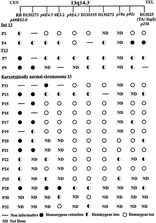 Fig. 6. Deletion summary. Examples of microsatellite (D13S273, 6E3.2, D13S319, D13S272, and D13S25) and Southern (Rb1, p6E4.5, p9E4.3, p25b, and D13S25) analysis on key patients showing deletions in the 13q14.3 region. The table is divided into three sections with patients with karyotypic 13q deletions (del 13), karyotypic 13q translocations (t13), and patients not showing chromosome 13 rearrangement by cytogenetic analysis (karyotypically normal chromosome 13).