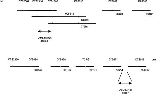 Fig. 4. Scheme of the loci on 7p (ordered from telomere to centromere). The YACs used for this study, their STS content, and their breakpoint regions of two t(7;12) are shown.