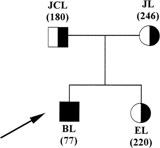 Fig. 1. Family pedigree (solid symbols, patient). In parenthesis is the lymphocyte COX activity expressed as picomoles of protoporphyrin per hour per milligram of protein at 37°C (normal control value, 350 ± 80; mean ± 2 SD).
