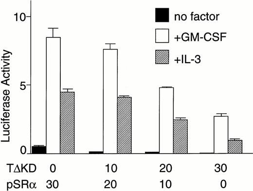 Fig. 2. Tec is involved in the cytokine-driven activation of c-fos proto-oncogene. (A) BA/F3-hGMRαβ cells (1 × 107) were transfected with the pfos/luc reporter plasmid (2 μg) together with 5 μg each of the pSRα (Vector), pSRα-Syk (Syk), pSRα-Lyn (Lyn), pSRα-Jak2 (Jak), or pSRα-Tec (Tec). After 5 hours of incubation in cytokine-free medium, the cells were further cultured for 5 hours without (no factor) or with 5 ng/mL of human GM-CSF (+GM-CSF) or 25 U/mL of mouse IL-3 (+IL-3). Luciferase activity was assayed in each fraction and calculated as relative light units (RLU)/min/μg of protein. The mean value plus SD of the luciferase activities in triplicate samples from each fraction is shown as arbitrary units. (B) BA/F3-hGMRαβ cells were transfected with pSRα-Syk, pSRα-Lyn, pSRα-Jak2, or pSRα-Tec, and cultured for 24 hours in the presence of IL-3. Total cell lysates (10 μg/lane) were prepared from each set (+) and untransfected BA/F3-hGMRαβ cells (−), and were immunoblotted with the antibodies against the corresponding kinases.