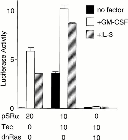 Fig. 2. Tec is involved in the cytokine-driven activation of c-fos proto-oncogene. (A) BA/F3-hGMRαβ cells (1 × 107) were transfected with the pfos/luc reporter plasmid (2 μg) together with 5 μg each of the pSRα (Vector), pSRα-Syk (Syk), pSRα-Lyn (Lyn), pSRα-Jak2 (Jak), or pSRα-Tec (Tec). After 5 hours of incubation in cytokine-free medium, the cells were further cultured for 5 hours without (no factor) or with 5 ng/mL of human GM-CSF (+GM-CSF) or 25 U/mL of mouse IL-3 (+IL-3). Luciferase activity was assayed in each fraction and calculated as relative light units (RLU)/min/μg of protein. The mean value plus SD of the luciferase activities in triplicate samples from each fraction is shown as arbitrary units. (B) BA/F3-hGMRαβ cells were transfected with pSRα-Syk, pSRα-Lyn, pSRα-Jak2, or pSRα-Tec, and cultured for 24 hours in the presence of IL-3. Total cell lysates (10 μg/lane) were prepared from each set (+) and untransfected BA/F3-hGMRαβ cells (−), and were immunoblotted with the antibodies against the corresponding kinases.