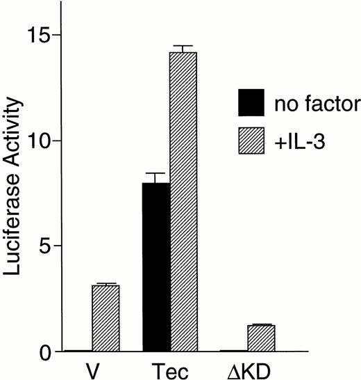 Fig. 2. Tec is involved in the cytokine-driven activation of c-fos proto-oncogene. (A) BA/F3-hGMRαβ cells (1 × 107) were transfected with the pfos/luc reporter plasmid (2 μg) together with 5 μg each of the pSRα (Vector), pSRα-Syk (Syk), pSRα-Lyn (Lyn), pSRα-Jak2 (Jak), or pSRα-Tec (Tec). After 5 hours of incubation in cytokine-free medium, the cells were further cultured for 5 hours without (no factor) or with 5 ng/mL of human GM-CSF (+GM-CSF) or 25 U/mL of mouse IL-3 (+IL-3). Luciferase activity was assayed in each fraction and calculated as relative light units (RLU)/min/μg of protein. The mean value plus SD of the luciferase activities in triplicate samples from each fraction is shown as arbitrary units. (B) BA/F3-hGMRαβ cells were transfected with pSRα-Syk, pSRα-Lyn, pSRα-Jak2, or pSRα-Tec, and cultured for 24 hours in the presence of IL-3. Total cell lysates (10 μg/lane) were prepared from each set (+) and untransfected BA/F3-hGMRαβ cells (−), and were immunoblotted with the antibodies against the corresponding kinases.