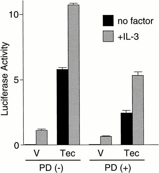 Fig. 2. Tec is involved in the cytokine-driven activation of c-fos proto-oncogene. (A) BA/F3-hGMRαβ cells (1 × 107) were transfected with the pfos/luc reporter plasmid (2 μg) together with 5 μg each of the pSRα (Vector), pSRα-Syk (Syk), pSRα-Lyn (Lyn), pSRα-Jak2 (Jak), or pSRα-Tec (Tec). After 5 hours of incubation in cytokine-free medium, the cells were further cultured for 5 hours without (no factor) or with 5 ng/mL of human GM-CSF (+GM-CSF) or 25 U/mL of mouse IL-3 (+IL-3). Luciferase activity was assayed in each fraction and calculated as relative light units (RLU)/min/μg of protein. The mean value plus SD of the luciferase activities in triplicate samples from each fraction is shown as arbitrary units. (B) BA/F3-hGMRαβ cells were transfected with pSRα-Syk, pSRα-Lyn, pSRα-Jak2, or pSRα-Tec, and cultured for 24 hours in the presence of IL-3. Total cell lysates (10 μg/lane) were prepared from each set (+) and untransfected BA/F3-hGMRαβ cells (−), and were immunoblotted with the antibodies against the corresponding kinases.