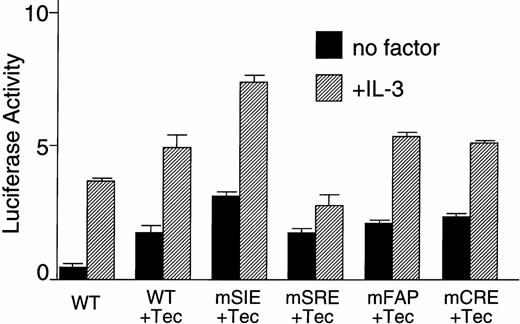 Fig. 2. Tec is involved in the cytokine-driven activation of c-fos proto-oncogene. (A) BA/F3-hGMRαβ cells (1 × 107) were transfected with the pfos/luc reporter plasmid (2 μg) together with 5 μg each of the pSRα (Vector), pSRα-Syk (Syk), pSRα-Lyn (Lyn), pSRα-Jak2 (Jak), or pSRα-Tec (Tec). After 5 hours of incubation in cytokine-free medium, the cells were further cultured for 5 hours without (no factor) or with 5 ng/mL of human GM-CSF (+GM-CSF) or 25 U/mL of mouse IL-3 (+IL-3). Luciferase activity was assayed in each fraction and calculated as relative light units (RLU)/min/μg of protein. The mean value plus SD of the luciferase activities in triplicate samples from each fraction is shown as arbitrary units. (B) BA/F3-hGMRαβ cells were transfected with pSRα-Syk, pSRα-Lyn, pSRα-Jak2, or pSRα-Tec, and cultured for 24 hours in the presence of IL-3. Total cell lysates (10 μg/lane) were prepared from each set (+) and untransfected BA/F3-hGMRαβ cells (−), and were immunoblotted with the antibodies against the corresponding kinases.