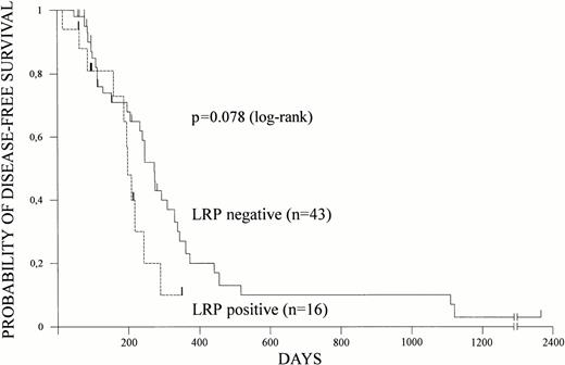 Fig. 2. LRP and disease-free survival. LRP expression of leukemic cells was determined by immunocytochemistry and disease-free survival was estimated according to Kaplan-Meier in 59 patients. Disease-free survival based on LRP expression is shown.