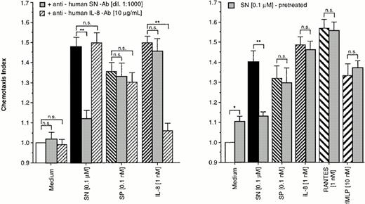 Fig. 2. Specifity of SN on eosinophil chemotaxis into nitrocellulose micropore filters (5-μm pore size). Maximal effective concentrations of SN (0.1 μmol/L), SP (0.1 nmol/L), or IL-8 (1 nmol/L) with or without SN-antibody (dilution 1:1,000) and anti-human IL-8 antibody (10 μg/mL), respectively, were placed in the lower wells of the chamber. RPMI 1640/0.5% BSA alone or with each antibody served as control. Thereafter 50 μL of human eosinophils at 1 × 106 cells/mL were added to the upper wells and were allowed to migrate for 60 minutes at 37°C (humidified atmosphere; 5% CO2) (left panel). In another set of experiments cells were pretreated with SN (0.1 μmol/L) for 10 minutes, washed twice, and thereafter allowed to migrate towards chemoattractants or medium (right panel). After fixing and staining of the filters migration depth was quantified microscopically. Data are expressed as mean ± SEM of the “Chemotaxis Index,” which is the ratio between the distance cells migrate toward test substances and that toward control medium. n = 6. Statistical analyses: Mann-Whitney U-test after Kruskal Wallis analysis of variance (P < .01); n.s., not significant; *,P < .05; **, P < .01.