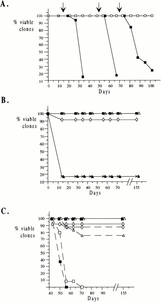 Fig. 2. Long-term growth of ELM cells in growth factors. A total of 30 clones of ELM cells were isolated as described in Materials and Methods and transferred to wells in 96-well microtiter plates containing various growth factors and/or ECM and passaged 1:10 weekly. The viability of the clones was recorded before each passage. (A) ELM clones were transferred to wells preplated with MS5 ECM and a cocktail of growth factors added (IGF-1, IGF-2, insulin, SCF, IL-3, IL-6, IL-11, GM-CSF, and CSF1) (□). At 15 days, 50 days, and 70 days (arrows), growth factors and ECM were removed and the effect on viability of the clones monitored (▪). (B) A total of 30 ELM clones were passaged in a single growth factor (IGF-1 (◊), IGF-2 (▴), insulin (▵), SCF (▪), and IL-3 (crosses)) and clone viability monitored. (C) After clones had been maintained for 45 days in IGF-1 (◊), insulin (▵), SCF (▪), and IGF-1+SCF (□) as described in (B), they were either passaged 1:10 weekly in the same growth factors until day 155 (solid lines) or in their absence (broken lines).