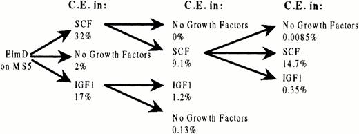 Fig. 3. Cloning efficiency of ELM cells repeatedly cloned in SCF or IGF-1. ELM cells cloned on stroma (30 clones) were cloned in 10 ng/mL SCF, 100 ng/mL IGF-1, or no growth factors and the cloning efficiency measured. Five clones surviving in each condition were then picked and recloned again in the same growth factors. In the case of cells cloned twice in SCF, the cloning in SCF or IGF-1 or no growth factors was repeated a third time.