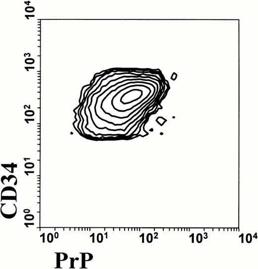 Fig. 2. Surface prion protein expression by human CD34+ BM cells. Human BM aspirates were fractionated for low-density BM cells to enrich for multipotential stem cells. Cells were stained for CD34 and PrPC and analyzed by flow cytometry. Contour plot of low-density human BM cells shows that all CD34+ cells also express PrPC. Data were analyzed using gates for both high side scatter and CD34 expression.