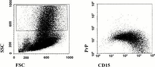 Fig. 3. Downregulation of surface prion protein during in vivo granulocyte maturation. Human BM aspirates were fractionated for low-density BM cells as described. Cells were washed and stained for flow cytometry analysis as described in the legend to Fig 1. Differentiating granulocytes displaying high side scatter were gated as shown on left. As these cells mature along the granulocyte lineage and become CD15hi, there is a progressive loss of surface PrPC staining.
