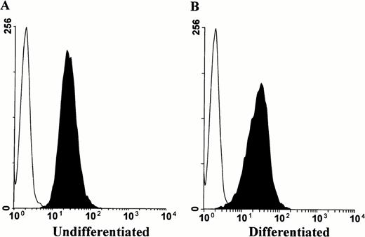 Fig. 4. Surface prion protein expression by HL-60 cells persists upon induction of monocyte lineage differentiation. HL-60 cells were cultured in the presence or absence of 100 nmol/L PMA for 3 days, then stained for flow cytometry analysis with MoAb 3F4. Histograms show PrPC surface immunoreactivity relative to an IgG2b isotype control. Minimal change is observed in PrPC staining intensity between undifferentiated (A) and differentiated cells (B).
