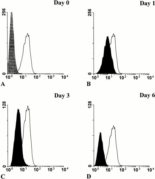 Fig. 5. Downregulation of surface PrPC in retinoic acid–induced granulocytic differentiation of HL-60 cells. HL-60 cells were cultured in the presence of 1 mol/L all-trans retinoic acid for 0, 1, 3, and 6 days, then stained for flow cytometry analysis with MoAb 3F4. Basal level of PrPC staining in undifferentiated cells (solid line) is shown relative to an IgG2b isotype control (in gray) (A). The progressive decrease of PrPC staining during differentiation (in black) is shown relative to basal level (B through D).