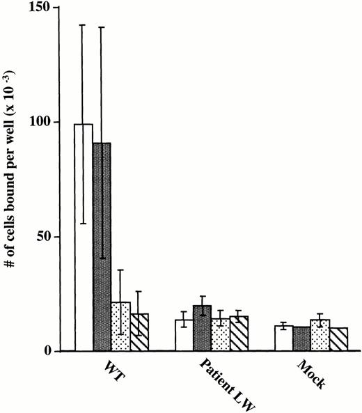 Fig. 5. Adhesion of transiently transfected CHO cells to immobilized fibrinogen. 51Cr-labeled CHO cells transfected with vector alone (Mock), mutant GPIIb and normal GPIIIa cDNA constructs (Patient LW), and wild-type GPIIb and GPIIIa cDNA constructs (WT) were added to microtiter wells precoated with fibrinogen (100 μL of 20 μg/mL). Cells were incubated with buffer (□) or MoAbs specific for αvβ3 (LM609) (▪),30 GPIIb/IIIa + αvβ3(c7E3) (□),28 and GPIIb/IIIa (10E5) (▧).26The number of cells per well was calculated according to the specific activity of a 50-μL aliquot of cells sampled at the beginning of the experiment, as previously described.19 Data are presented as mean ± SD of 4 data points obtained from two separate experiments.