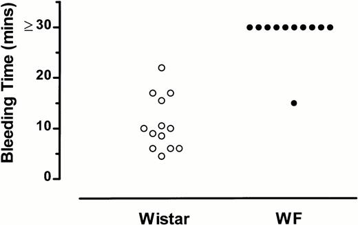 Fig. 1. Bleeding times of WF rats are prolonged compared with those of normal (Wistar) rats. Each point represents the bleeding time for an individual rat.
