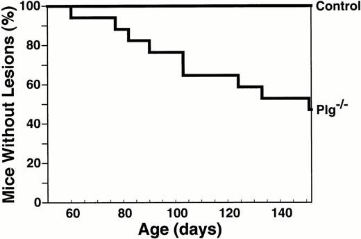 Fig. 3. Development of ligneous conjunctivitis in Plg−/− mice, as a function of age. The development of ligneous lesions of the conjunctiva was followed in a prospective cohort of mice consisting of 17 Plg−/− mice and 27 littermate control mice of an inbred C57Bl/6J background until 151 days of age.