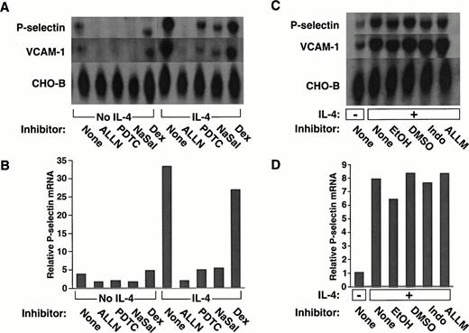 Fig. 1. The proteasome inhibitor ALLN, the antioxidant PDTC, or NaSal, but not dexamethasone, decreases constitutive and IL-4–induced expression of mRNA for P-selectin and VCAM-1 in HUVEC. (A) Confluent HUVEC in 25-cm2 flasks were preincubated for 1 hour at 37°C in the presence or absence of 25 μmol/L ALLN, 50 μmol/L PDTC, 10 mmol/L NaSal, or 1 μmol/L dexamethasone (Dex). The cells were then incubated for 20 hours at 37°C with or without 10 ng/mL of IL-4 in the continued presence of the respective pharmacological agent. Total RNA was then isolated, and Northern blot analysis was performed with sequential hybridization of the membrane with cDNA probes for P-selectin, VCAM-1, or CHO-B. (B) The relative levels of P-selectin mRNA were quantified by densitometric scanning, normalized according to the level of CHO-B mRNA, which was not affected by IL-4. (C and D) The experiment was performed exactly as in panels A and B, except that cells were incubated with the following controls: EtOH used as the diluent for dexamethasone, DMSO used as the diluent for ALLN, 25 μmol/L Indo, or 25 μmol/L of ALLM, a protease inhibitor with relatively little activity against the proteasome. The data in panels A and B are representative of five experiments. The data in panels C and D are representative of two experiments. The data for IL-4–stimulated cells in panel B were also pooled with the analogous results from the other four experiments. Statistical analysis of the pooled results revealed that ALLN, PDTC, or NaSal significantly decreased IL-4–induced P-selectin mRNA levels (P ≤ .01).