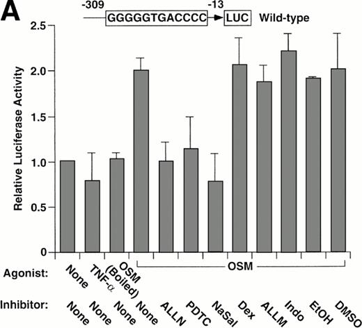 Fig. 5. Pharmacological inhibition of P-selectin expression does not require the presence of an intact κB element in the human P-selectin promoter. BAEC were transfected with a luciferase reporter gene driven by the human P-selectin 5′ flanking sequence from −309 to −13 (A) or with a reporter gene driven by the same 5′ flanking sequence with the exception of a 2-nucleotide mutation in the κB element (B). After 36 hours, the cells were pretreated for 1 hour at 37°C in the presence or absence of 25 μmol/L ALLN, 100 μmol/L PDTC, 5 mmol/L NaSal, 1 μmol/L dexamethasone (Dex), 25 μmol/L ALLM, 25 μmol/L Indo, or the diluents EtOH or DMSO used for dexamethasone and ALLN, respectively. The cells were then incubated without cytokine for 12 hours, with 100 U/mL TNF-α for 4 hours, or with 10 ng/mL of boiled or active OSM for 12 hours. The luciferase activities in cell lysates were then measured; the values were normalized, with a value of 1.0 assigned to unstimulated cells incubated in the absence of pharmacological agent. The data represent the mean ± SD of triplicate transfections from each of two independent experiments.