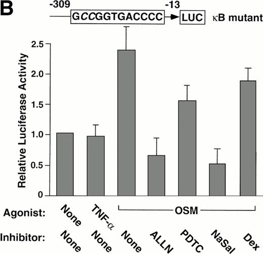 Fig. 5. Pharmacological inhibition of P-selectin expression does not require the presence of an intact κB element in the human P-selectin promoter. BAEC were transfected with a luciferase reporter gene driven by the human P-selectin 5′ flanking sequence from −309 to −13 (A) or with a reporter gene driven by the same 5′ flanking sequence with the exception of a 2-nucleotide mutation in the κB element (B). After 36 hours, the cells were pretreated for 1 hour at 37°C in the presence or absence of 25 μmol/L ALLN, 100 μmol/L PDTC, 5 mmol/L NaSal, 1 μmol/L dexamethasone (Dex), 25 μmol/L ALLM, 25 μmol/L Indo, or the diluents EtOH or DMSO used for dexamethasone and ALLN, respectively. The cells were then incubated without cytokine for 12 hours, with 100 U/mL TNF-α for 4 hours, or with 10 ng/mL of boiled or active OSM for 12 hours. The luciferase activities in cell lysates were then measured; the values were normalized, with a value of 1.0 assigned to unstimulated cells incubated in the absence of pharmacological agent. The data represent the mean ± SD of triplicate transfections from each of two independent experiments.