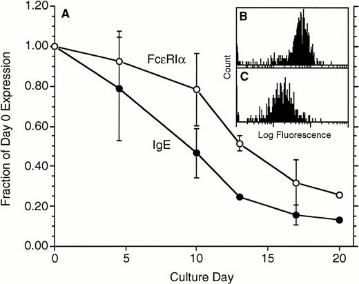 Fig. 2. Downregulation of both IgE and FcRIα during culture in the absence of IgE in the culture medium (n = 4). Both parameters were measured by flow cytometry, IgE with TES-19 anti-IgE monoclonal antibody (•) and FcRIα (○) with monoclonal antibody 22E7. On average, the starting levels of expression for FcRIα were 110 ± 25 flow fluorescence units, equivalent to ≈130,000 FcRIα per cell (see Materials and Methods). Data are expressed as a fraction of the day 0 level of expression. (B and C) Representative flow-cytometric profiles for 1 of the experiments; (B) day 0 distribution (mean fluorescence, 63), and (C) day 17 distribution (mean = 17) using 22E7 to detect FcRIα.