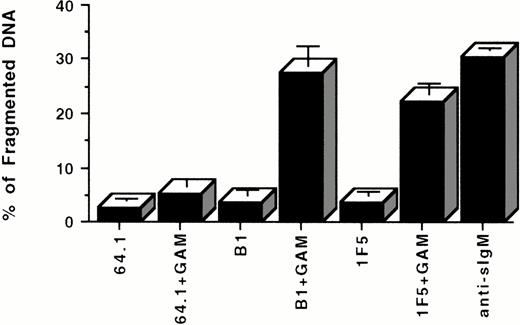 Fig. 2. (A) Apoptotic effect of anti-CD20 MoAbs on Ramos cells as shown by propidium iodide staining. 106 cells/mL were incubated with 10 μg/mL of the B1 or 1F5 anti-CD20 antibodies or with the control 64.1 anti-CD3 antibody for 24 hours in the presence or the absence of GAM cross-linker (50 μg/mL). Cell nuclei were stained with propidium iodide and analyzed by flow cytometry. Hypodiploid DNA peaks corresponding to apoptotic nuclei were quantified. Data are representative of five concordant experiments. (B) Kinetics of apoptosis induced by CD20 cross-linking. 106 cells/mL were incubated with or without 10 μg/mL anti-CD20 (B1) MoAb + 50 μg/mL GAM for 0 to 48 hours. Cell nuclei were stained with propidium iodide and analyzed by flow cytometry as described above. Anti-sIgM was used as a positive control. Data are representative of three similar experiments.
