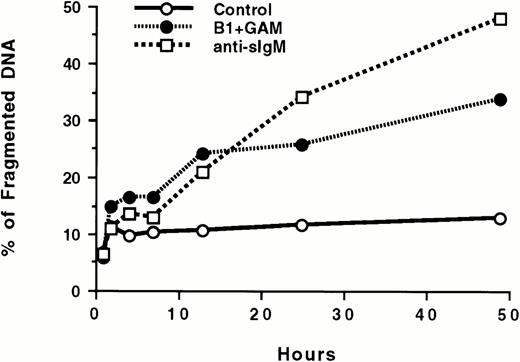 Fig. 2. (A) Apoptotic effect of anti-CD20 MoAbs on Ramos cells as shown by propidium iodide staining. 106 cells/mL were incubated with 10 μg/mL of the B1 or 1F5 anti-CD20 antibodies or with the control 64.1 anti-CD3 antibody for 24 hours in the presence or the absence of GAM cross-linker (50 μg/mL). Cell nuclei were stained with propidium iodide and analyzed by flow cytometry. Hypodiploid DNA peaks corresponding to apoptotic nuclei were quantified. Data are representative of five concordant experiments. (B) Kinetics of apoptosis induced by CD20 cross-linking. 106 cells/mL were incubated with or without 10 μg/mL anti-CD20 (B1) MoAb + 50 μg/mL GAM for 0 to 48 hours. Cell nuclei were stained with propidium iodide and analyzed by flow cytometry as described above. Anti-sIgM was used as a positive control. Data are representative of three similar experiments.