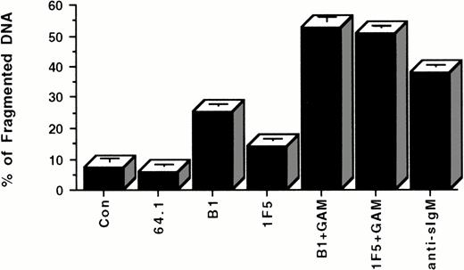 Fig. 5. Apoptosis of Ramos cells incubated with anti-CD20 MoAbs in the presence of FcγR-expressing accessory cells. Each well of a 24-well plate was coated with 5 × 105 FcγR-expressing accessory cells at 37°C overnight. 106 Ramos cells were added to each coated well with PBS, control anti-CD3 antibody (64.1), or anti-CD20 MoAbs. After 24 hours incubation at 37°C, cells were stained with PI and analyzed by flow cytometry. Anti-CD20 MoAbs (B1 and 1F5) plus GAM and anti-sIgM antibody were used as positive control in the absence of FcγR-expressing accessory cells. Data are representative of four concordant experiments.