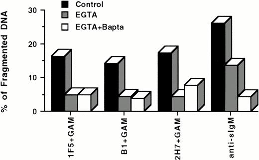 Fig. 7. Ca2+ chelators inhibit apoptosis induced by hypercross-linking CD20. 106 Ramos cells/mL were incubated with 3 mmol/L EGTA or 3 mmol/L EGTA plus 5 μmol/L Bapta AM for 30 minutes at 37°C before incubation with 10 μg/mL antibodies for 24 hours in the presence or absence of GAM cross-linker (50 μg/mL). Cell nuclei were stained with PI and analyzed by flow cytometry. Hypodiploid DNA peaks corresponding to apoptotic nuclei were quantified, and results presented as antibody-mediated apoptosis minus spontaneous apoptosis. Cells that were not pretreated with either EGTA or Bapta were used as controls. Data are representative of four experiments.