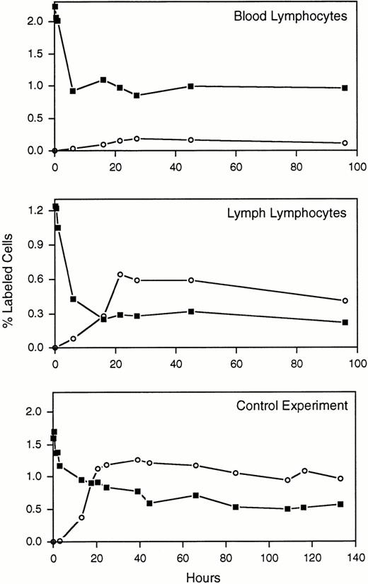 Fig. 2. Distribution of FITC+ blood lymphocytes and CM-DiI+ lymph lymphocytes in the blood and lymph compartments. Top panel; in this and all seven experiments performed, the concentration of blood lymphocytes remained consistently higher in blood (▪) than in lymph (○). Middle panel; in contrast, lymph lymphocytes rapidly disappeared from the blood and reached a higher concentration in lymph from about 1 day onward. Bottom panel; to rule out the possibility that the blood labeling protocol hindered lymphocyte recirculation, in one experiment the leukocytes were depleted from a blood sample and replaced with lymph lymphocytes, then the blood was labeled with FITC and reinfused as usual. The lymph lymphocytes reached a higher concentration in lymph than in blood; therefore the blood labeling protocol does not appear to affect the ability of lymphocytes to leave the blood and enter lymph.