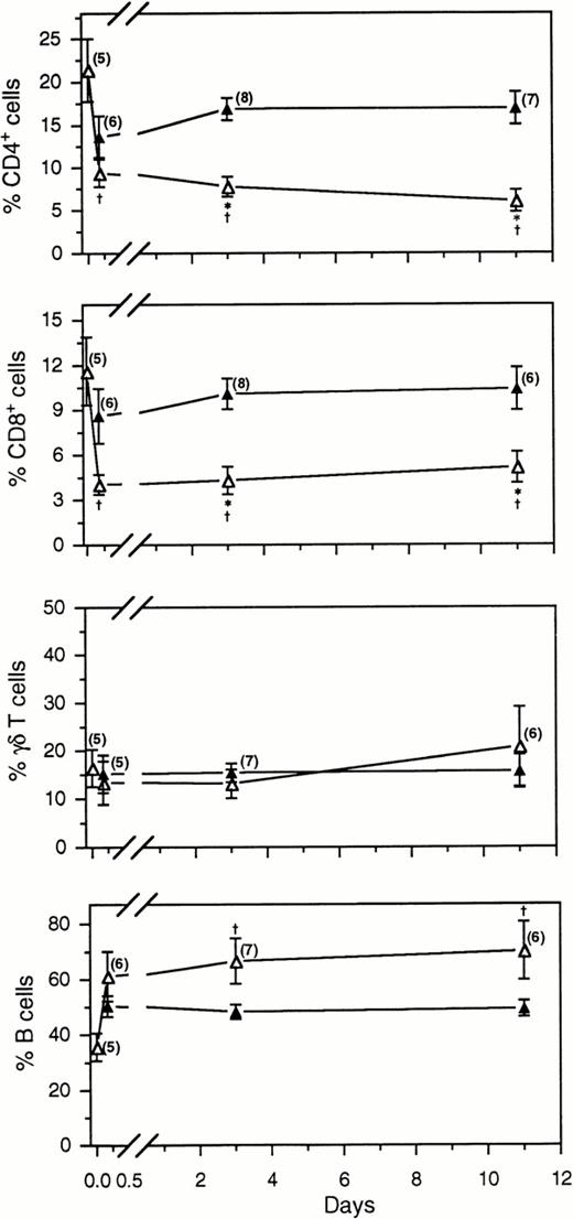 Fig. 3. Comparison of the percentage of labeled (▵) and unlabeled lymphocytes (▴) in the blood following the intravenous injection of FITC+ blood lymphocytes. The number of samples per time point is indicated in parentheses. *, indicates a significant difference (P < .05) between the concentration of labeled and unlabeled cells at the same time point; †, indicates a significant difference between the concentration of FITC+ subsets in the original injected dose of labeled cells (the first ▵ on each graph) and in subsequent blood samples.