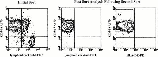 Fig. 1. Purity of the CD34+Lin−DR− population by double sorting. Shown are the representative data from one double-sorting experiment. (Left) Initial sort of the CD34-enriched population for CD34-SA670 and the FITC lymphoid cocktail (HLA-DR for the initial sort not shown). Cells were double sorted positive for surface CD34, lymphoid lineage negative, and HLA-DR negative/low. Reanalysis of all events (no exclusion by gating) after the second round of sorting is shown for CD34 and the lymphoid cocktail (middle) and for CD34 and HLA-DR (right). In each experiment, greater than 99.8% of events were within the CD34+Lin−(based on isotype controls) and CD34+DR−sort windows as shown. The 0.2% double-negative events were back gated and likely represent debris based on forward and side scatter analysis showing a majority of events (10 of 15 events for the example shown) were to the left of the lymphoid window (data not shown).