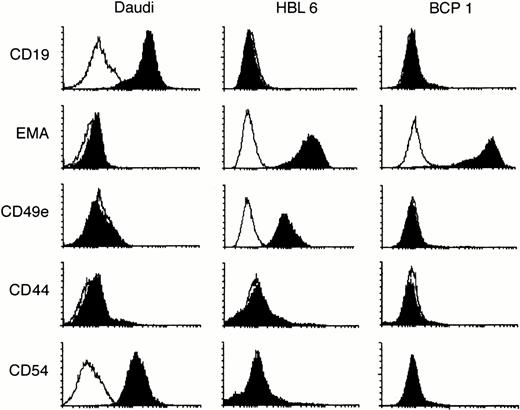Fig. 6. Representative example of FACS profiles for BCP-1 and HBL-6 cells and cells obtained from Nod/SCID ascitic fluid. EBV+ Daudi cells were used as a control. Fluorescence intensity is expressed on an arbitrary logarithmic scale. Black histograms represent antibody stained cells, and white histograms are isotype-specific controls for each antibody used. As previously shown, KSHV+ PEL cells lack B-cell markers including CD19, but express EMA. ICAM-1 or CD54 is an important adhesion molecule present on most lymphoma cells and upregulated by EBV LMP-1.