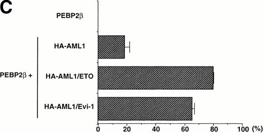 Fig. 6. (A) Expressions of the HA-tagged wild-type AML1 and chimeric proteins in COS-7 cells. A total of 3 × 104COS-7 cells were transfected with the expression plasmid for PEBP2β (0.4 μg) together with that for each HA-tagged protein. To obtain the same expression level of HA-AML1, HA-AML1/ETO(MTG8), and HA-AML1/Evi-1, based on several preparative experiments, we determined the amounts of the transfected plasmids as follows; HA-AML1 (0.5 μg), HA-AML1/ETO(MTG8) (1.2 μg), and HA-AML1/Evi-1 (4.0 μg). Cell lysates were fractionated into cytoplasmic (lanes C) and nuclear (lanes N) fractions and analyzed by immunoblotting using anti-HA serum. Wild-type AML1 and the chimeric proteins were expressed at the anticipated sizes, as marked by the arrowheads. The complete transfer of these three proteins was verified by confirming that all molecular weight standards were equally stained on the membrane and barely detectable on the gel by Coomassie staining after blotting (data not shown). Cell lysates of COS-7 cells transfected with only PEBP2β construct were also analyzed (mock). Molecular weight standards (in kilodaltons) are indicated. (B) (see page 1690) Double fluorescence labeling of COS-7 cells transfected with the constructs of each HA-tagged protein and PEBP2β. The amounts of the transfected expression plasmids were the same as indicated in (A). (a, b, c, and d) The HA-tagged proteins were detected with anti-AML1 serum. (e, f, g, and h) PEBP2β was detected with hamster anti-PEBP2β serum. Original magnification × 600. (C) The ability of each HA-tagged protein to accumulate PEBP2β in the nucleus. COS-7 cells were transfected with the expression plasmids as shown in (A). Two hundred cells expressing both each HA-tagged protein and PEBP2β were counted (see text). Bars show the percentages of the cells showing stronger fluorescence detected by anti-PEBP2β serum in the nucleus as compared with the fluorescence in the cytoplasm (obtained in three independent experiments). Error bars indicate one standard deviation. (D) The staining pattern of the cells with anti-PEBP2β serum overexpressing HA-AML1 (upper panel), HA-AML1/ETO(MTG8) (middle panel), or HA-AML1/Evi-1 (lower panel) in lower magnification (× 100).