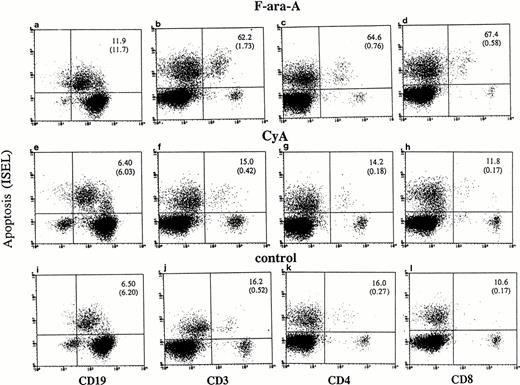 Fig. 1. Flow cytometric determination of apoptosis by ISEL in antigen defined subpopulations (patient No. 24, Table 1). Peripheral lymphocytes were incubated in vitro in the presence or absence of F-ara-A (3 μmol/L) or CyA (100 ng/mL). Apoptosis was evaluated after 72 hours in CD19+, CD3+, CD4+, and CD8+ lymphocytes. The number in the top right quadrant represents the percentage of apoptotic cells in the antigen-defined population. The numbers in parentheses represent the percentage of antigen-defined apoptotic cells within the total number of peripheral lymphocytes.