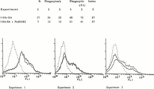 Fig. 1. Phagocytosis of EA mediated by the chimeric receptor I-IIA-IIA in COS-1 cells expressing I-IIA-IIA alone or I-IIA-IIA plus FcγRIIB2. (A) The percent of cells that phagocytose EA and the phagocytic index (PI, number of ingested EA/100 transfected COS-1 cells) for three representative experiments are shown. (B) Expression of the chimeric receptor as determined by flow cytometry. Cells were stained with MoAb 32.2 to measure I-IIA-IIA expression in the presence (–––––) or absence (.........) of FcγRIIB2. (. . . .), Indicates transfectants stained with isotype control antibody. The expression of FcγRIIB was determined by flow cytometry after staining with MoAb IV.3. Mean fluorescence intensity (MFI) for FcγRIIB2 in experiments 1, 2, and 3 was 104, 91, and 80, respectively. The fluorescence histogram shows that the expression of I-IIA-IIA (MFI) in the presence or absence of FcγRIIB2 was virtually the same. Thus, FcγRIIB2 decreased phagocytosis by I-IIA-IIA without changing the cell-surface expression of I-IIA-IIA.