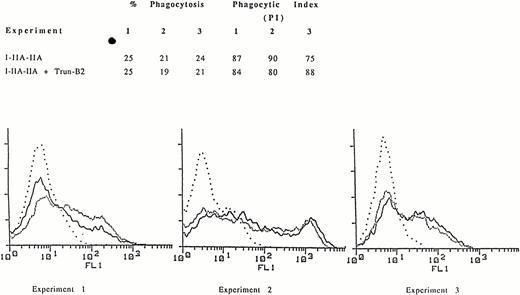 Fig. 2. Phagocytosis mediated by the chimeric receptor I-IIA-IIA in COS-1 cells expressing the I-IIA-IIA chimera alone or the I-IIA-IIA chimera plus the FcγRIIB mutant lacking a cytoplasmic domain, Trun-B2. (A) The percent of cells phagocytosing EA and the phagocytic index for three representative experiments are shown. (B) Expression of the chimeric receptor I-IIA-IIA as determined by flow cytometry. Cells were stained with MoAb 32.2 to measure I-IIA-IIA expression in the presence (–––––) or absence (.........) of Trun-B2. (. . . .), Indicates transfectants stained with isotype control antibody. The expression (MFI) of I-IIA-IIA was the same in the presence or absence of Trun-B2 in each experiment. The expression of Trun-B2 was determined by staining with anti-FcγRII MoAb IV.3. MFI for Trun-B2 in experiments 1, 2, and 3 was 55, 44, and 60, respectively.