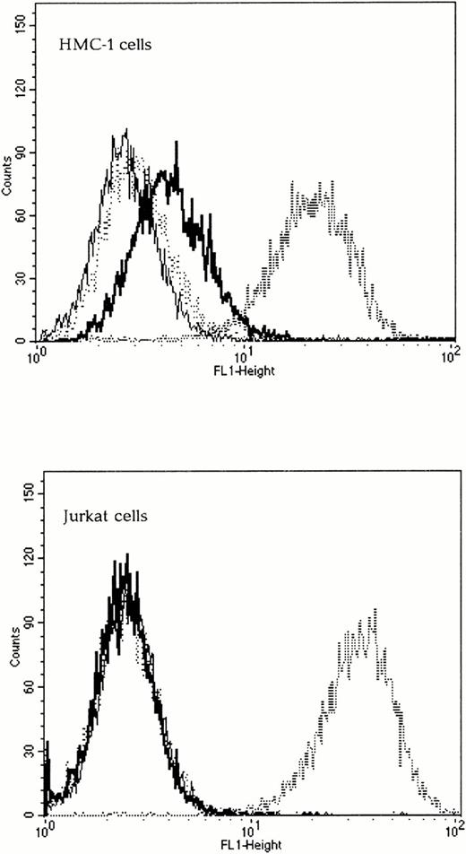 Fig. 3. The SCF-Moloney chimeric envelope binds to the SCF receptor, Kit. Binding assays were performed on both Kit-positive (HMC-1) and Kit-negative (Jurkat) human cell lines using unmodified Moloney and 4070A envelopes and the SCFXMo chimeric envelope. The fine line represents Moloney binding (negative control), the dashed line, 4070A binding (positive control), the thick line, SCFXMo binding, and the dotted line, SCFXMo binding in the presence of exogenous rHuSCF. SCFXMo binds only to the Kit-positive cell line and the binding is competitively inhibited by the addition of rHuSCF.