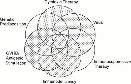 Fig. 1. Overlap and interactions of factors that may contribute to the development of new malignancies after hematopoietic stem cell transplantation.