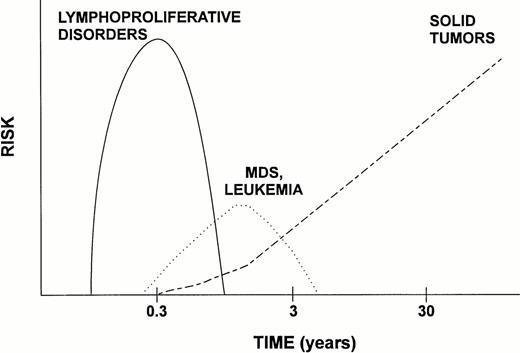 Fig. 2. Scheme of time course and RR of the major categories of posttransplant malignancies. Whereas lymphoproliferative disorders (PTLD) occur almost exclusively in allogeneic transplant recipients, solid tumors are observed in both allogeneic and autologous patients. MDS and leukemia have been reported more frequently after autologous transplantation. (Note logarithmic scale of time axis.)