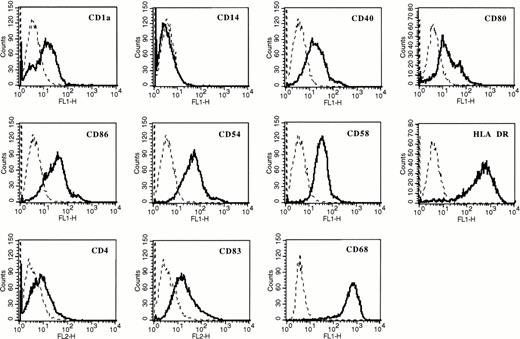 Fig. 1. Dendritic phenotype of adherent AC cultured in X-VIVO 15 medium with GM-CSF and IL-13. AC were maintained in X-VIVO 15 clinical-grade culture medium with GM-CSF and IL-13 for 5 days. TNFα was added for 2 additional days. Flow cytometric analysis was performed at day 7. Isotype-matched murine MoAbs were used as negative controls (dotted lines).
