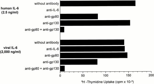 Fig. 3. Human and viral IL-6–induced DNA synthesis of INA-6 cells in the absence or presence of antibodies specific for hIL-6, hIL-6R (gp80), and gp130. A polyclonal antiserum was used for neutralization of IL-6 protein. Monoclonal antibodies 17506.1 and 28126.111 were used as IL-6R– and gp130-specific reagents. All antibodies were added at initiation of cultures at a final concentration of 10 μg/mL.