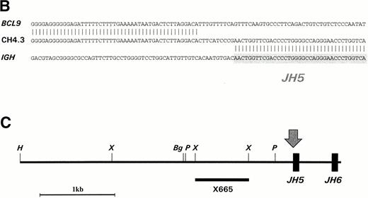 Fig. 1. (A) LDI-PCR products from HindIII-digested CEMO-1 DNA. Bands of 3.7 and 4.3 kb were amplified, corresponding to the rearrangements seen on Southern blot. Five microliters of PCR product was analyzed on 0.8% agarose stained with ethidium bromide. (B) DNA sequence analysis of translocation breakpoint from 4.3-kb LDI-PCR product (clone CH4.3). DNA sequence is compared with germline IGHJsequence and BCL9 cDNA sequence. Shaded region denotesJH5 sequence. (C) Restriction map of LDI-PCR clone CH4.3. The breakpoint in CEMO-1 is indicated by an arrow. Probe X665 is indicated by heavy horizontal bar. This probe was used to screen PAC library and for Northern and Southern analysis. Bg, Bgl II;H, HindIII; P, Pst I; X,Xho I.
