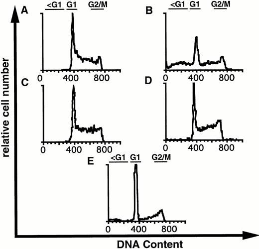 Fig. 5. DNA content of 32D-Kit cells incubated with factor and Ca2+ influx blockers. 32D-Kit cells were incubated for 18 hours with (A) SLF alone, (B) SLF + 8 μmol/L econazole, (C) IL-3 alone, or (D) IL-3 + 8 μmol/L econazole. (E) Cells were incubated with no added factor. Cells were then resuspended in Vindelövs solution containing propidium iodide and analyzed by flow cytometry.