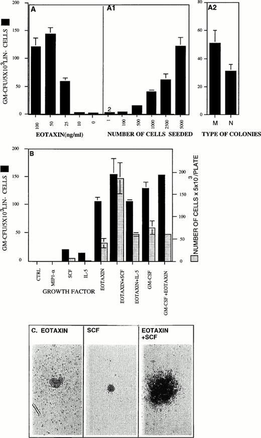 Fig. 3. Eotaxin is a GM-CSF for Lin− hematopoietic progenitors and can synergize with SCF to stimulate the production of granulocytes and macrophages. The concentration-dependent colony-stimulating activity of Eotaxin is shown in (A). The ability of Eotaxin (100 ng/mL) to stimulate colony formation in Lin−cells seeded in the concentration of 1 to 5,000 cells/plate is shown in (A1; see the Materials and Methods). Macrophages (M) and granulocyte-neutrophils (N) types of colonies stimulated by Eotaxin are shown in (A2). The colony-stimulating activities of Eotaxin, IL-3, MIP-1α, GM-CSF, SCF, and IL-5 and their combinations are shown (▪). The number of cells per plate collected from the GM-CFU assay (see the Materials and Methods) is shown (▧). (C) The pictures of colonies stimulated by either SCF, Eotaxin, or both were taken at an original magnification of ×200. Five different experiments were performed. The results shown are of one representative experiment. Each point is the mean of three determinations ± SD.