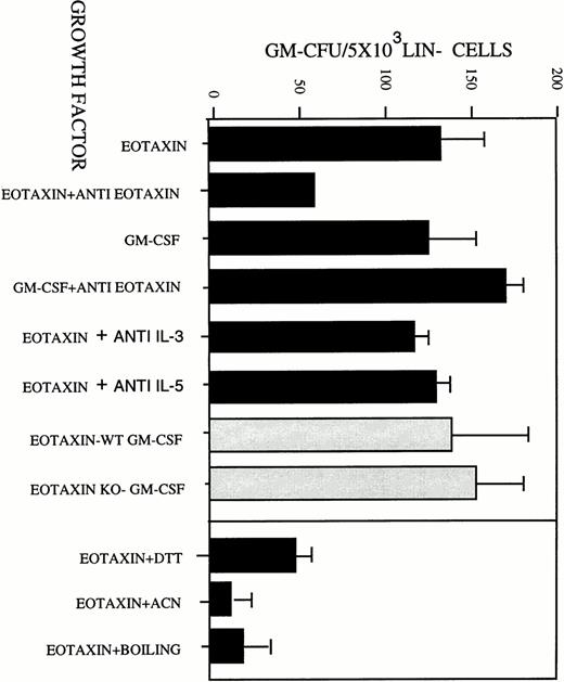 Fig. 4. Eotaxin induced the differentiation and proliferation of hematopoietic progenitors into metamyelocytes and macrophages in a GM-CSF–independent pathway. (A) Eotaxin was either treated with 1:100 polyclonal antibodies to Eotaxin or 50 μg/mL neutralizing polyclonal antibodies to IL-3 or to IL-5. As a control, antibodies against Eotaxin were also mixed with GM-CSF. The treated and untreated Eotaxin and GM-CSF were then used to perform a GM-CFU assay using Lin− cells that were purified from BM of wild-type (WT) BALB/c mice (▪). Eotaxin was used to stimulate GM colony formation using Lin− cells that were purified from BM of GM-CSF–deficient mice (KO)3 or wild-type (WT) BALB/c mice (▧). The activity of Eotaxin was inactivated by treatment with 1 mmol/L DTT, acetonitrile (ACN), and boiling for 5 minutes (B). The results shown in (A) are the mean of three individual experiments ± SD.