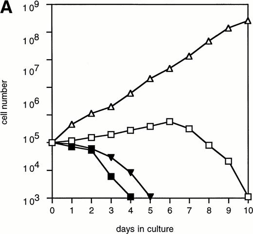 Fig. 6. The effect of Ara-C on proliferation and differentiation of 32D/WT cells. (A) G-CSF– and IL-3–dependent proliferation of 32D/WT cells in the absence or presence of Ara-C. The numbers of viable cells were determined on the basis of trypan blue exclusion at the indicated times. (□) G-CSF; (▪) G-CSF + Ara-C; (▵) IL-3; (▾) IL-3 + Ara-C. (B) Cell cycle distribution of 32D/WT cells cultured for 3 days in G-CSF– or IL-3–containing medium in the absence or presence of Ara-C. The percentages of cells in the G1, S, and G2/M phases of the cell cycle are given in the upper right of the panels. (C) Morphology of 32D/WT cells cultured for 3 days in G-CSF– or IL-3–containing medium in the presence of Ara-C (May-Grünwald-Giemsa staining; original magnification × 630). (D) The percentages of terminally differentiated 32D/WT cells cultured in G-CSF– or IL-3–containing medium in the absence or presence of Ara-C. At least 200 cells were scored at the indicated times. Symbols are the same as in (A).