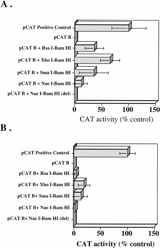Fig. 3. (A) CAT activity in K562 cells transiently transfected with a pCAT positive control vector, pCAT B negative control vector, and pCAT B containing RsaI-BamHI,XhoI-BamHI, SmaI-BamHI, NaeI-BamHI, and NaeI-BamHI (del) inserts. (B) CAT activity in CHO cells transiently transfected with a pCAT positive control vector, pCAT B-negative control vector, and pCAT B containingRsaI-BamHI, XhoI-BamHI, SmaI-BamHI, NaeI-BamHI, andNaeI-BamHI (del) inserts. Transfection reactions were normalized by use of PAP assays, as detailed in Materials and Methods. Mean ±SD of six different experiments, each performed in duplicate, are shown. CAT activity was normalized to the CAT control transfected cells, which were arbitrarily set at 100%.